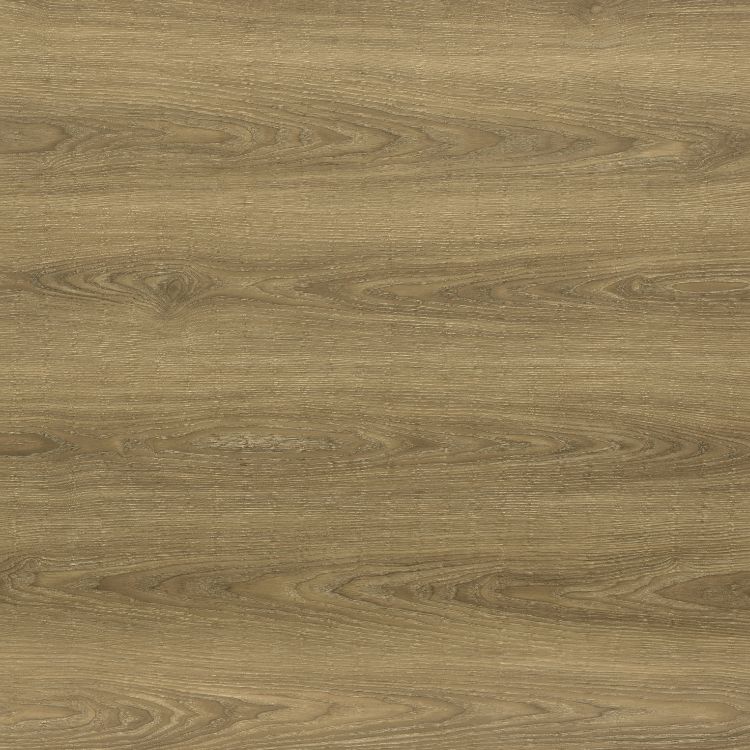 Strong Oak 23