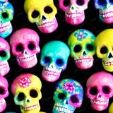 Sugar-Skulls-432