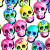 Sugar-Skulls-492