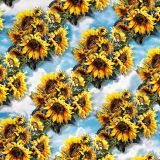 Sunflower-26