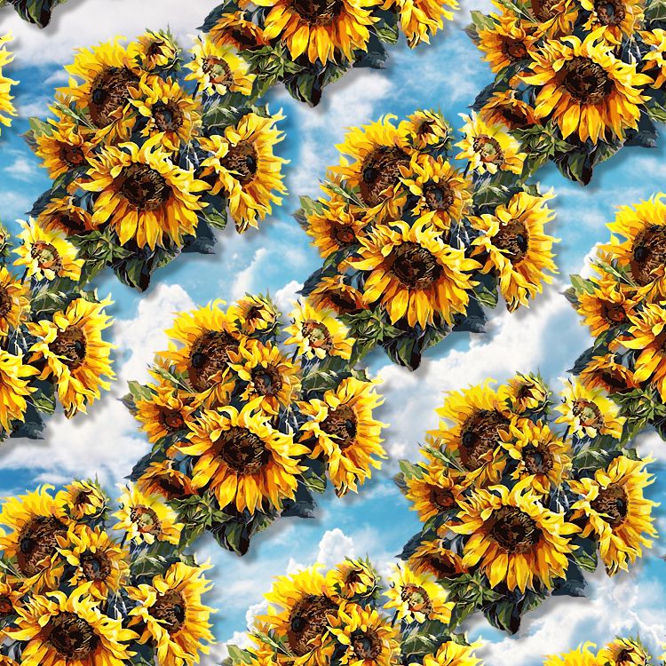 Sunflower 26