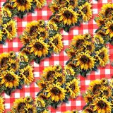 Sunflower-Over-Red-Checkered-Cloth