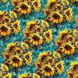 Sunflower-Over-Tumbled-Turquoise-23