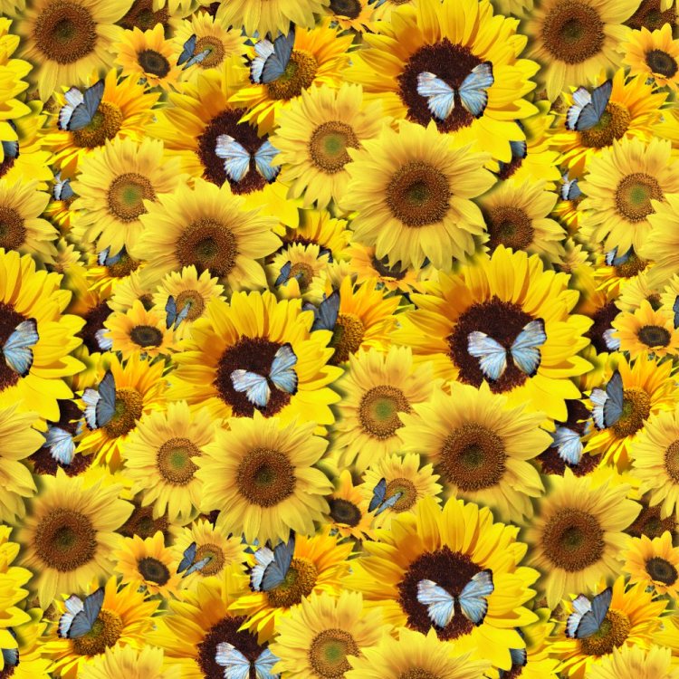 Sunflowers and Butterflies 23