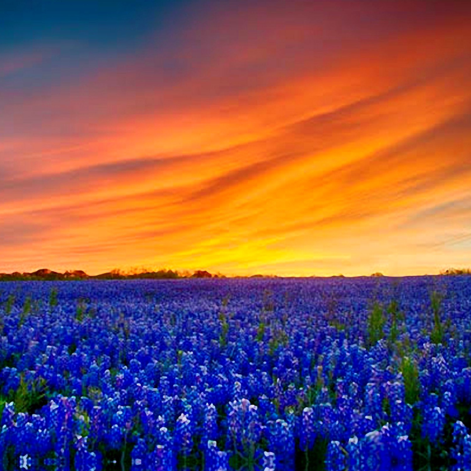 Sunset 26