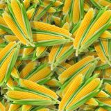 Sweet-Corn-Ears-thumb