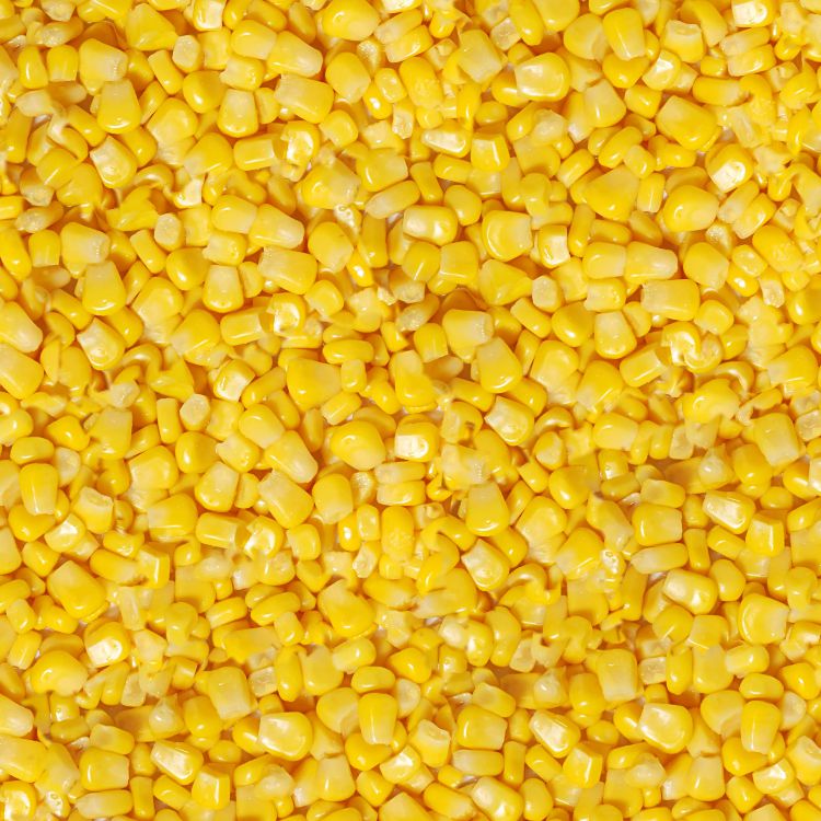 Sweet Corn