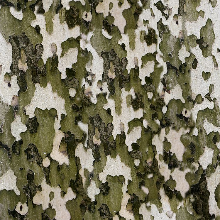 SyCAMOre Camouflage