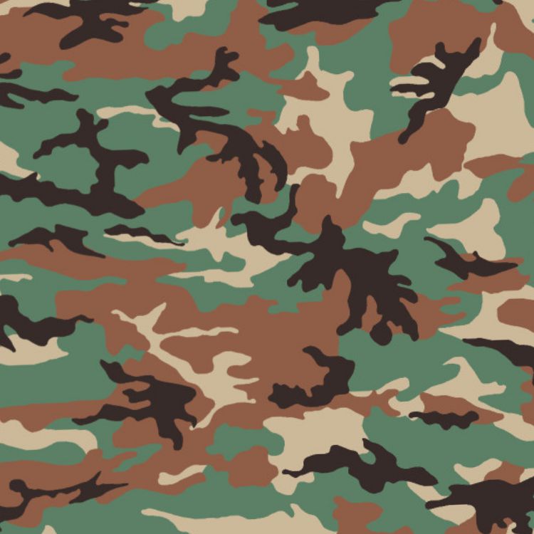 Syrian 22 Camouflage