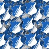 TSG-1899-Hoffenheim.jpg