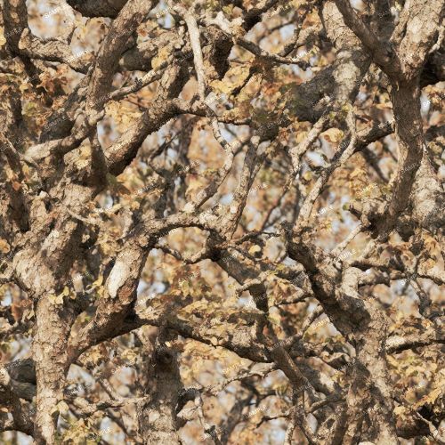 Tactical Camo 203