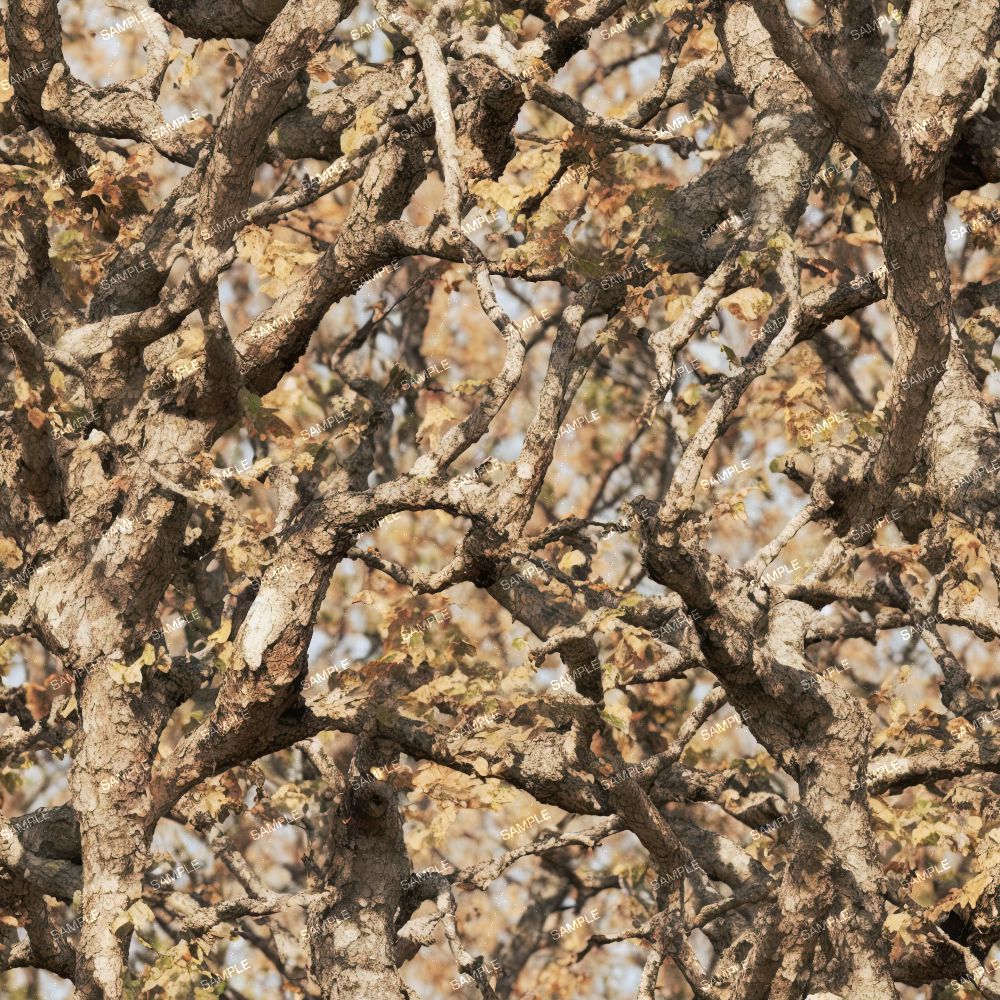 Tactical Camo 203