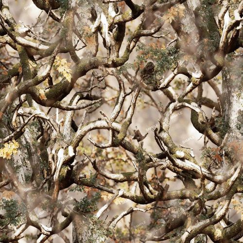 Tactical Camo 205
