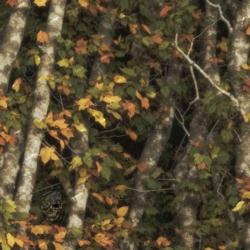 Tactical Camo 206
