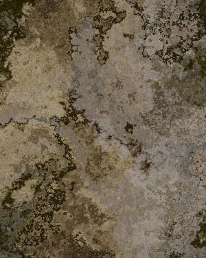Tatical Camouflage 48