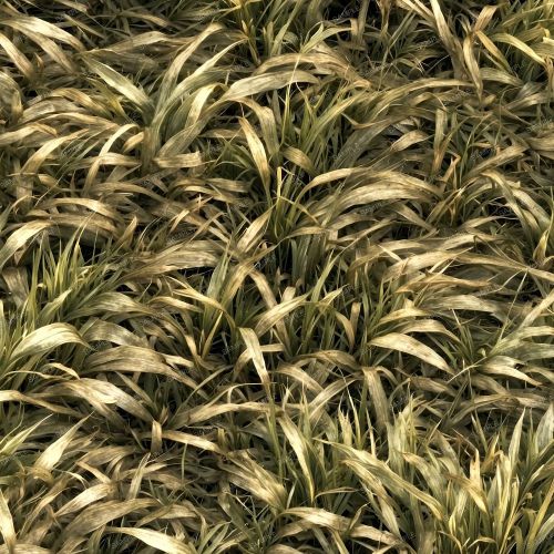 Tactical Camouflage 64