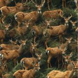 Tactical-Deer-Camo-81