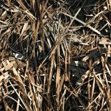 Tactical-Dried-Grass-Camo-105