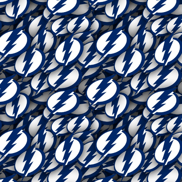 Tampa Bay Lightning 22