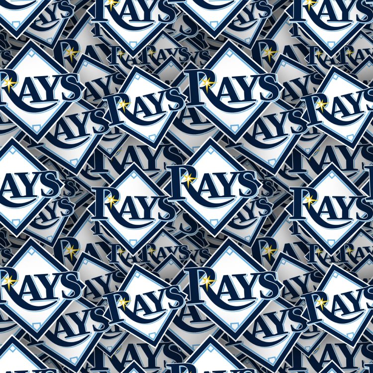 Tampa Bay Rays