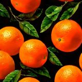 Tangerines-42