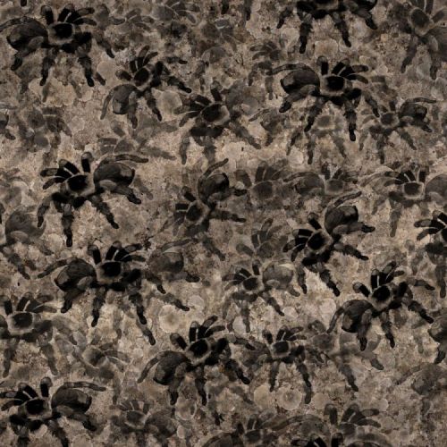 Tarantulas 25 Camouflage