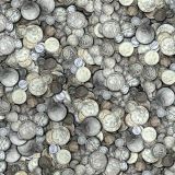 Tarnished-Silver-US-Coins-thumb
