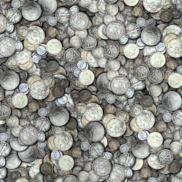 Tarnished Silver US Coins