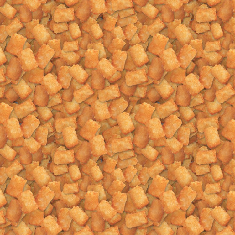 Tater Tots 22