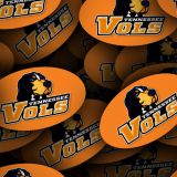 Tenn-Vols-Ovals