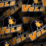 Tenn-Vols-Ovals-23