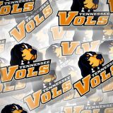 Tenn-Vols-Ovals-24