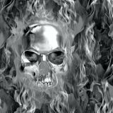 Terminator-Skull-Flames-23-thumb