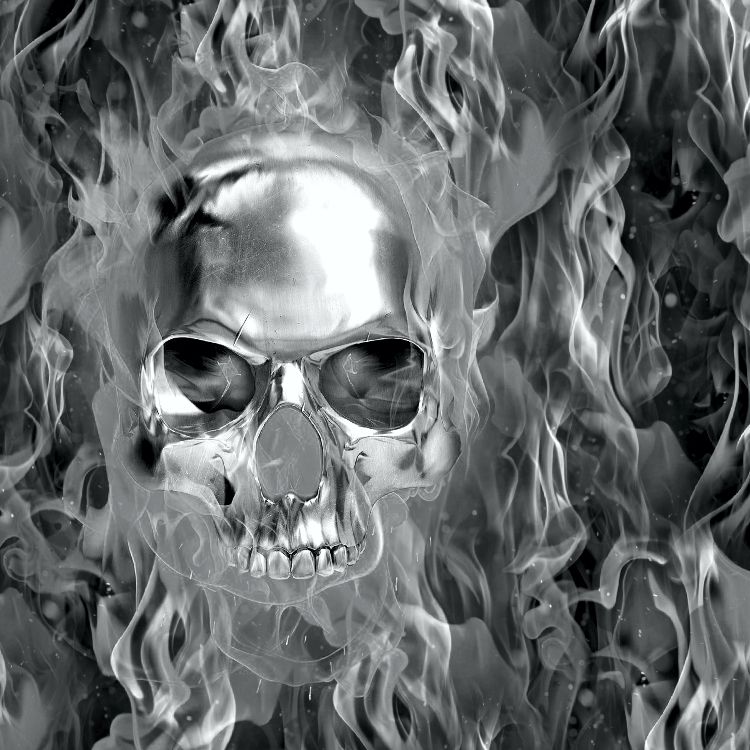 Terminator Skull Flames 23