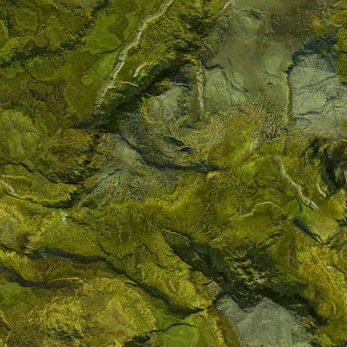 TerraPat 25 Camouflage