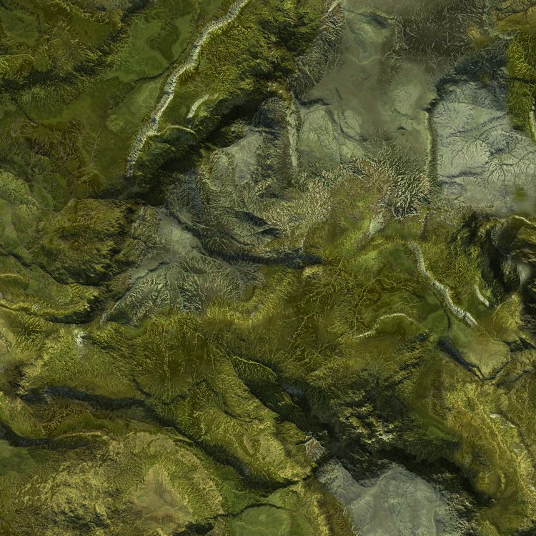 TerraPat 26 Camouflage