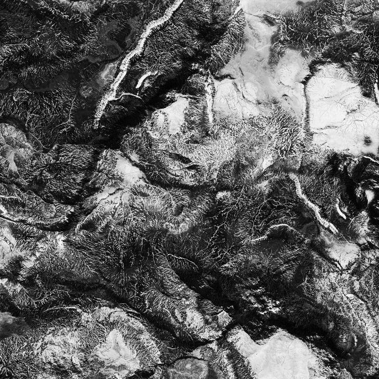 TerraPat 29 Camouflage