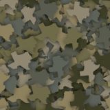 Texas-23-Camo.jpg