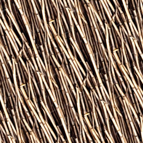 Thatch Grass 42