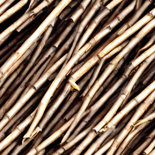 Thatch Grass 43