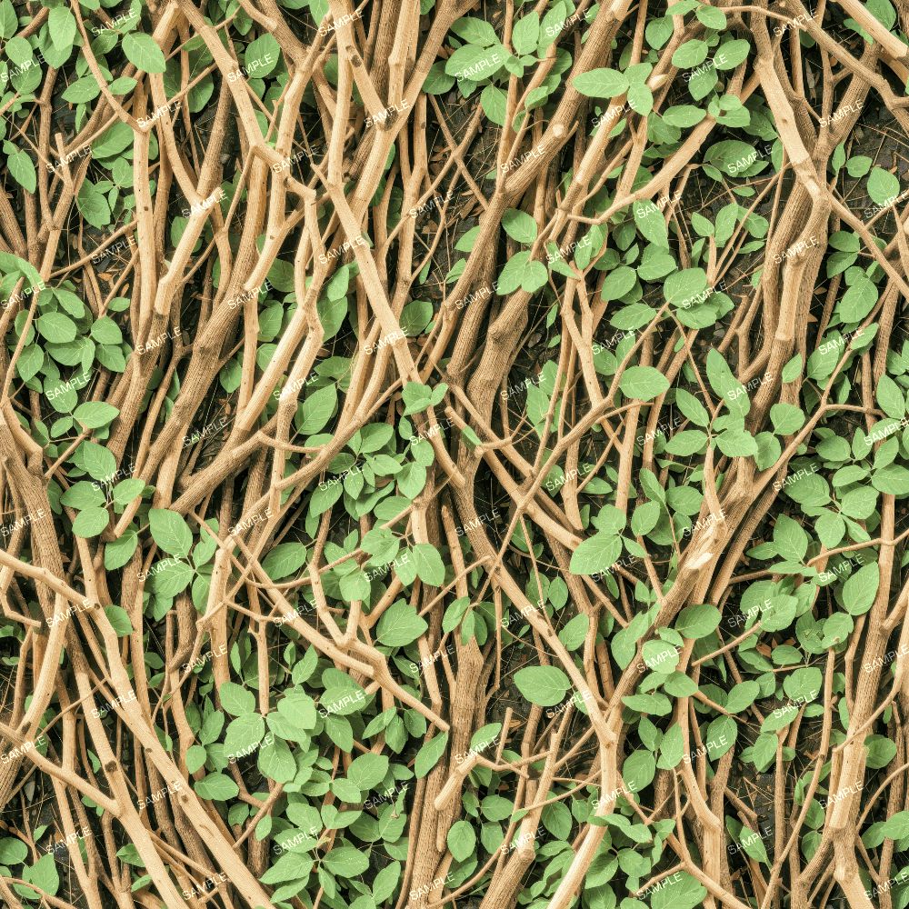 Thicket 42