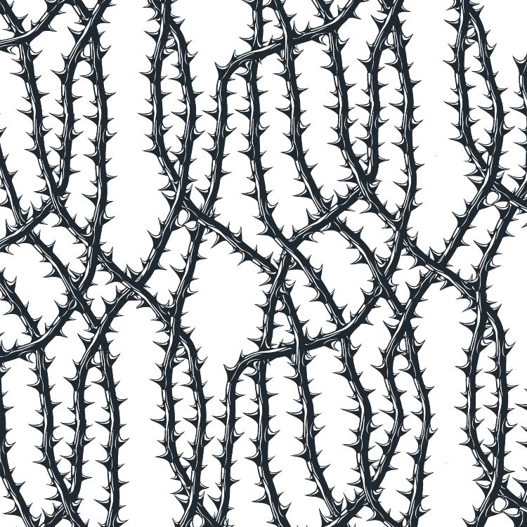 Thorny Vines