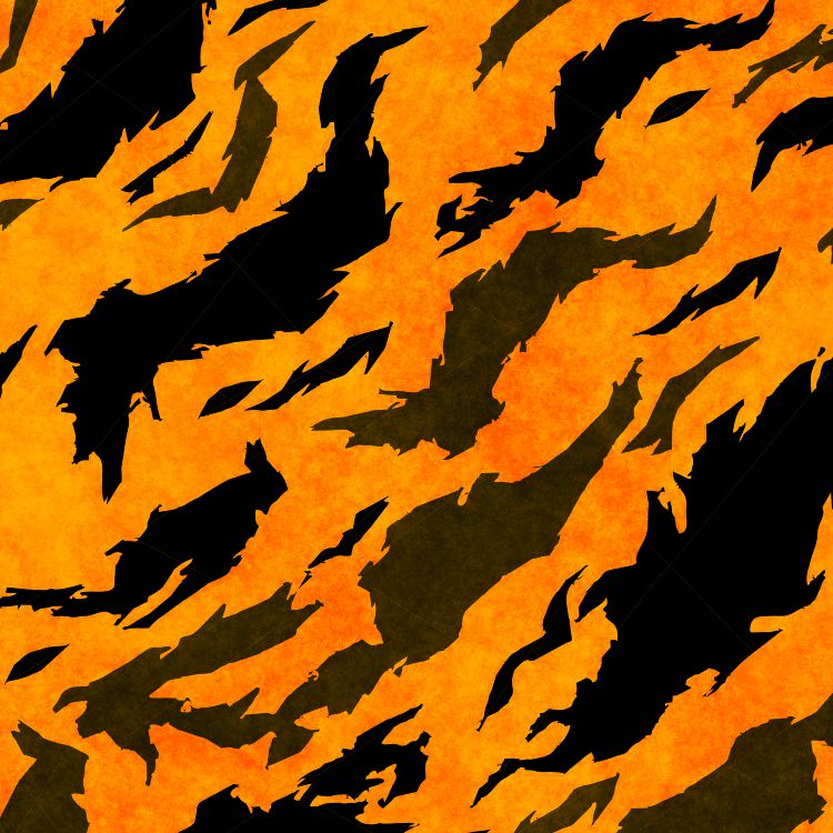 Tiger Blaze Camouflage 23