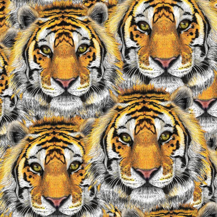Tiger Face 23