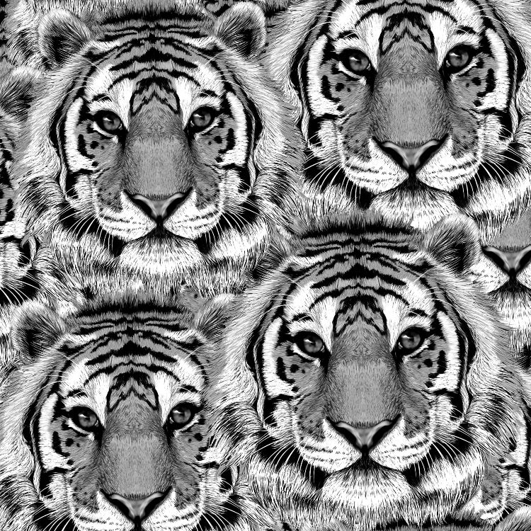Tiger Face 24