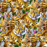 Tiger Family