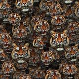 Tigers-Everywhere