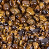 Tigers-Eye-23.jpg
