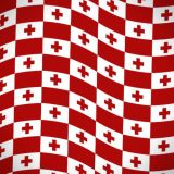 Tonga-Flag-25