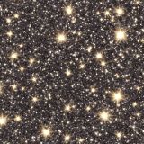 Too-Much-Bling-Glitter